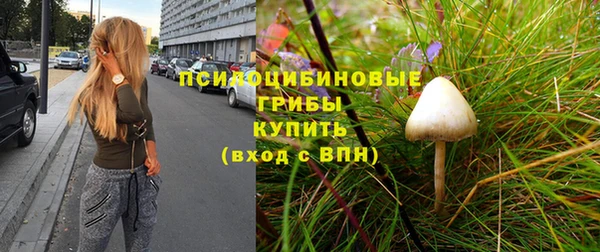 герыч Зерноград