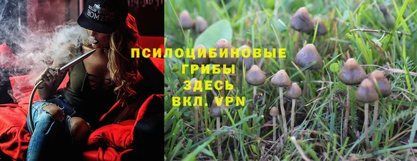spice Нижний Тагил
