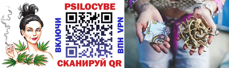 Галлюциногенные грибы Psilocybe  купить  цена  Лагань 